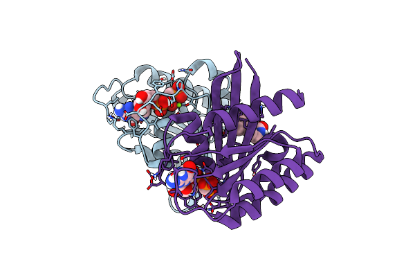 8R7X image