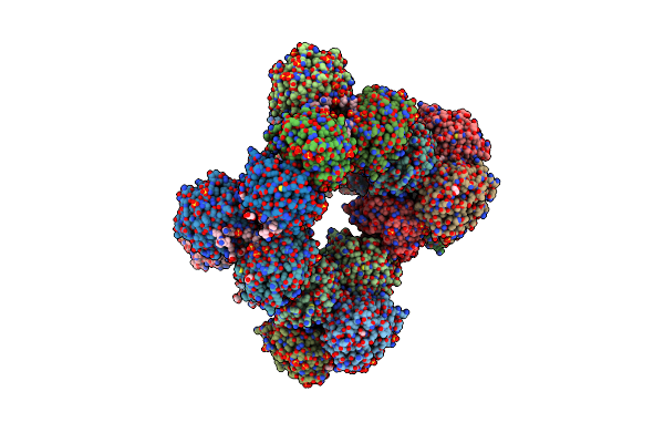 8R8B image