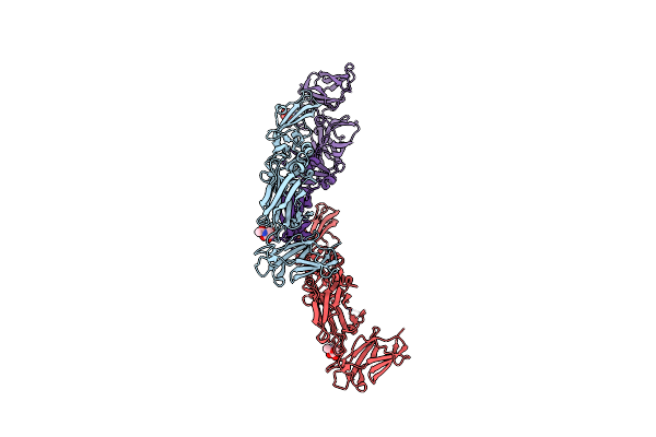 8R8L image