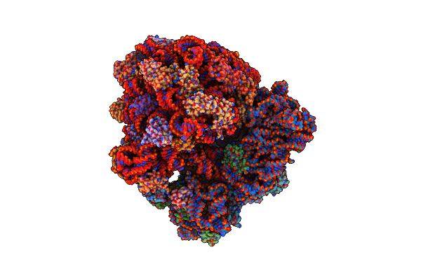 8R8M image