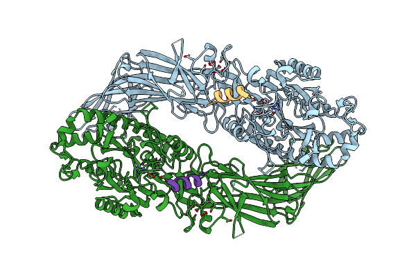 8R8V image