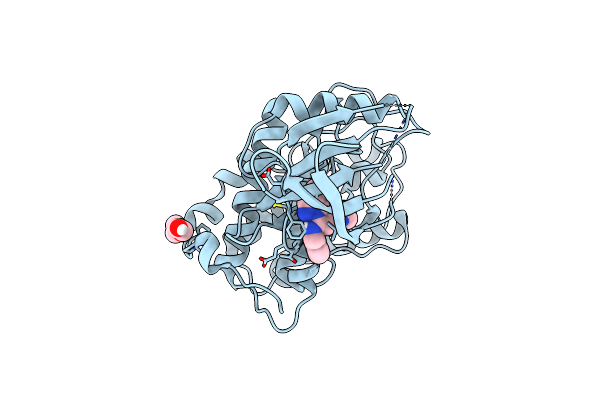 8R9A image