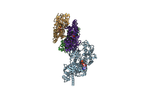 8R9V image
