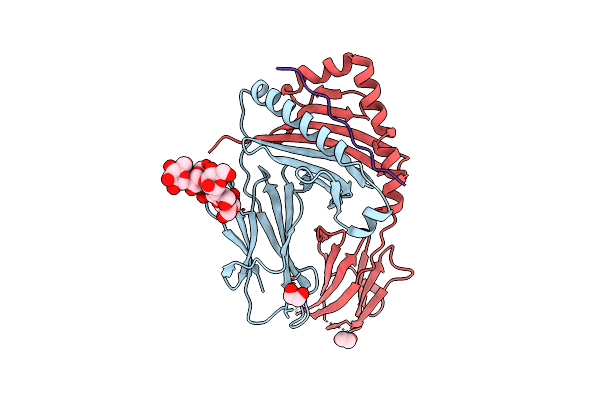 8RAL image