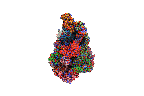 8RAS image