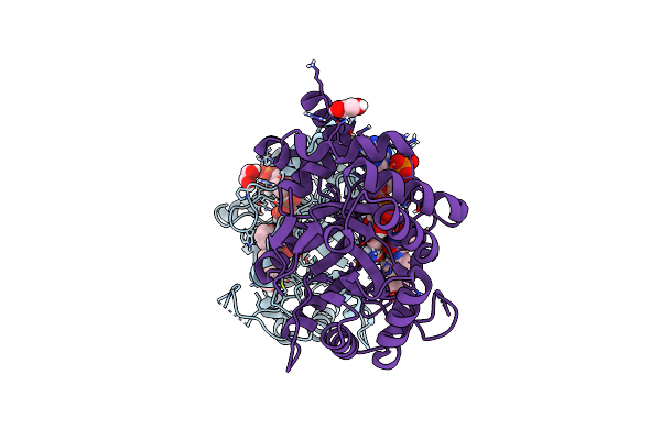 8RB6 image