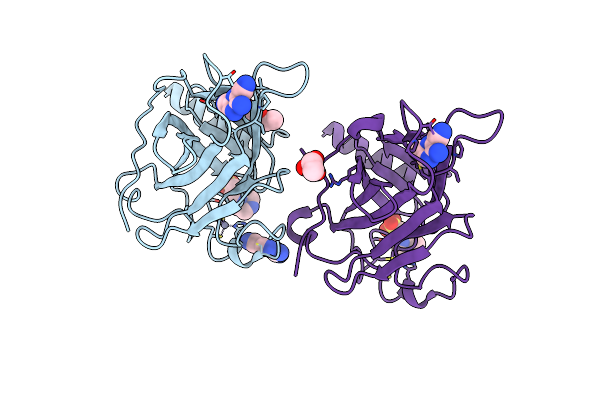 8RBC image