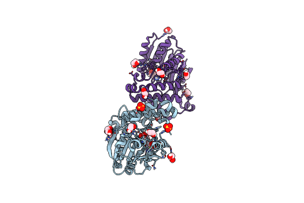 8RBD image