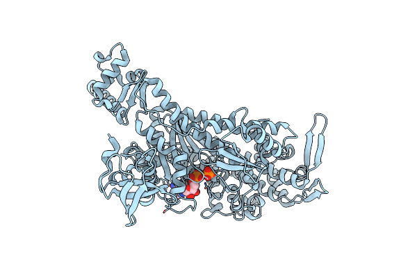 8RBG image