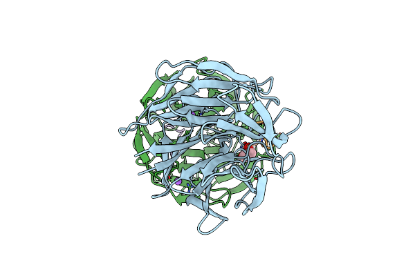8RBH image