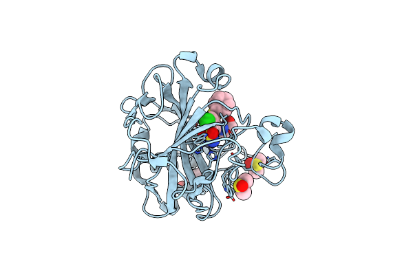 8RBP image