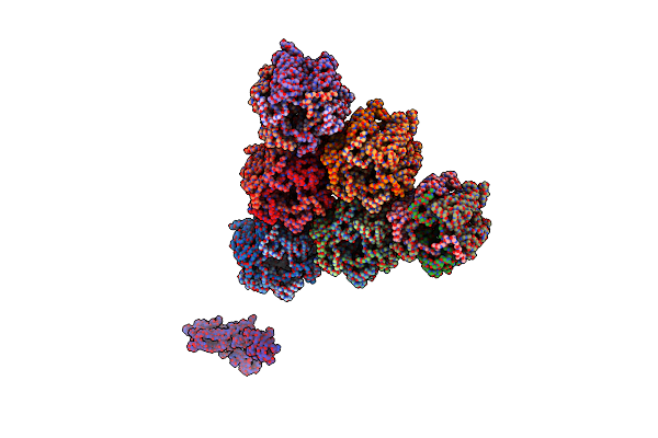 8RBT image