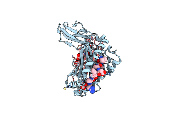 8RBV image
