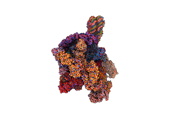8RBX image