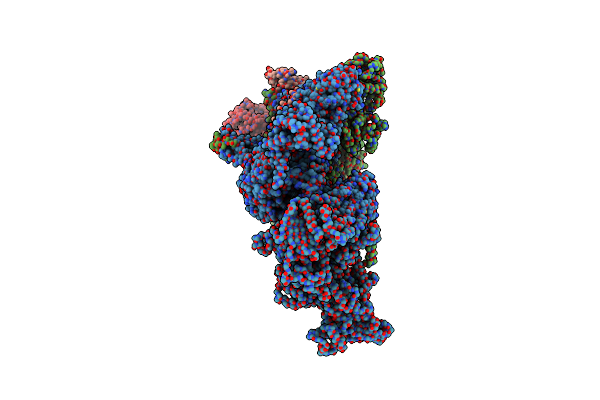 8RC0 image