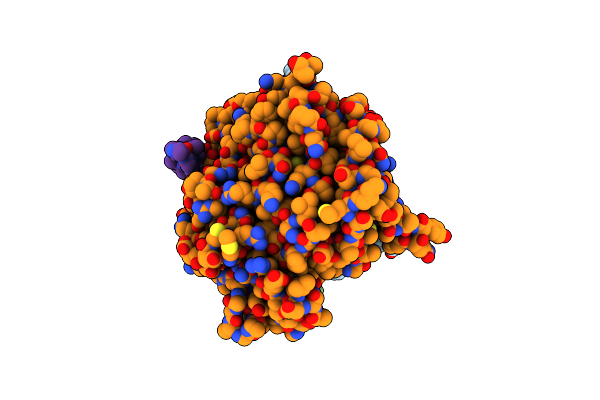 8RC1 image