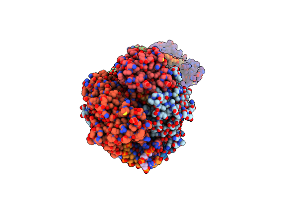 8RC2 image