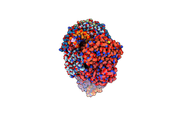 8RC3 image