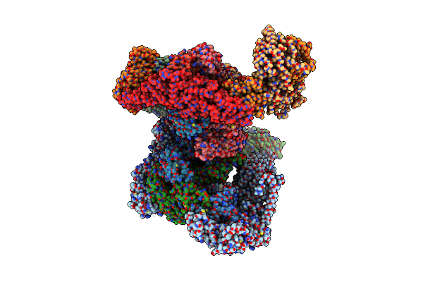 8RC4 image