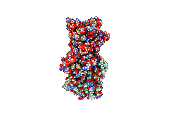 8RC6 image