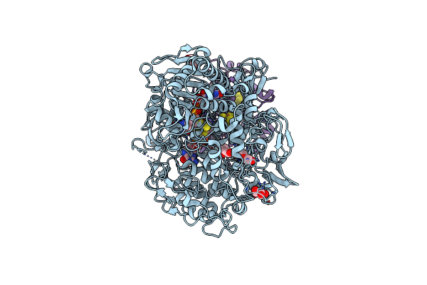 8RC8 image