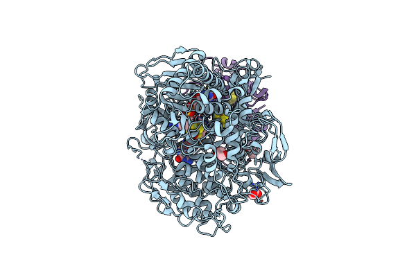 8RC9 image