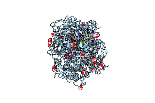 8RCC image