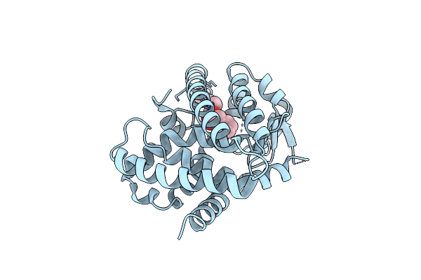 8RCE image