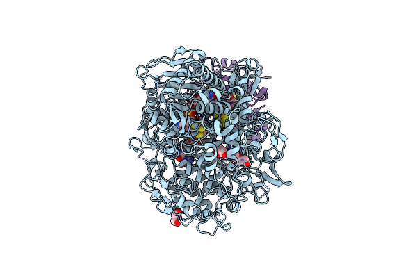 8RCG image