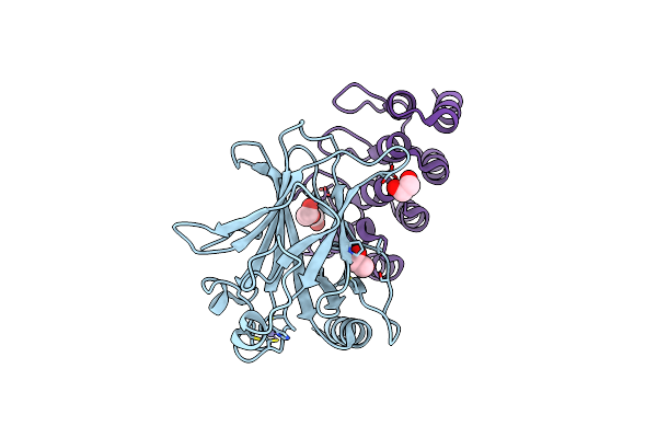 8RCI image