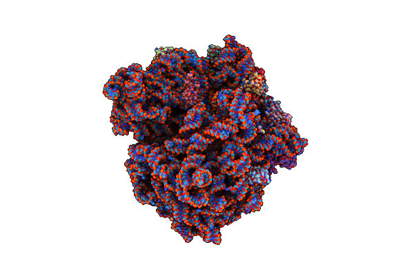 8RCM image