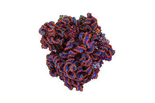 8RCS image