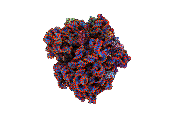 8RCT image