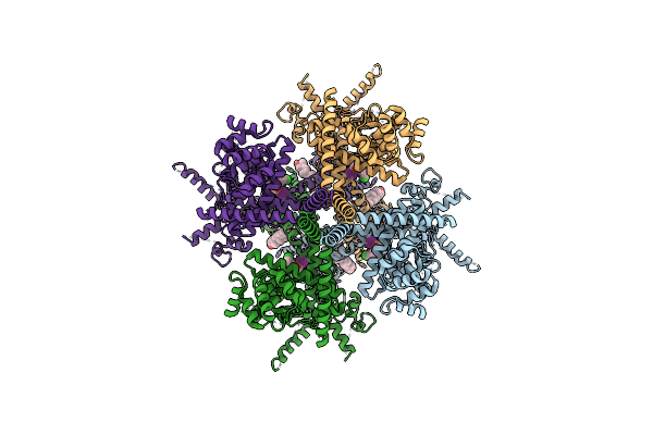8RCU image