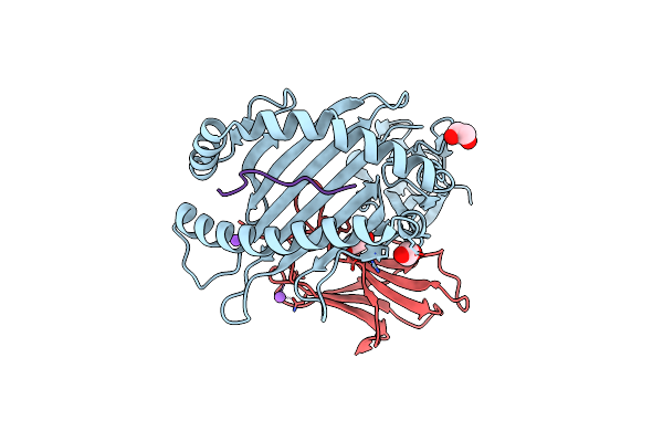 8RCV image