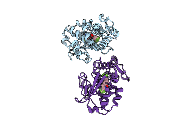 8RCX image