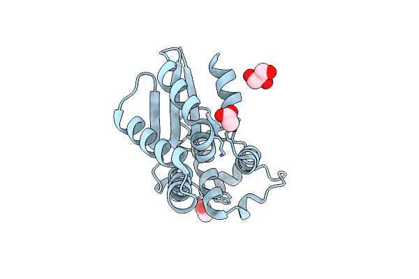 8RDD image