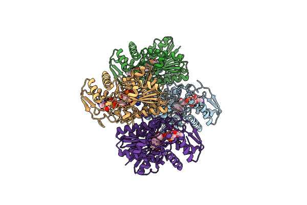 8RDI image