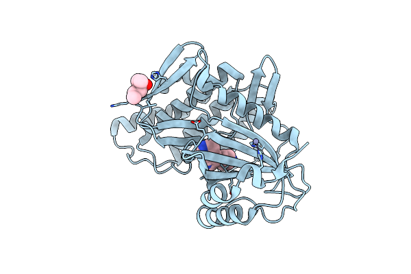 8RDK image
