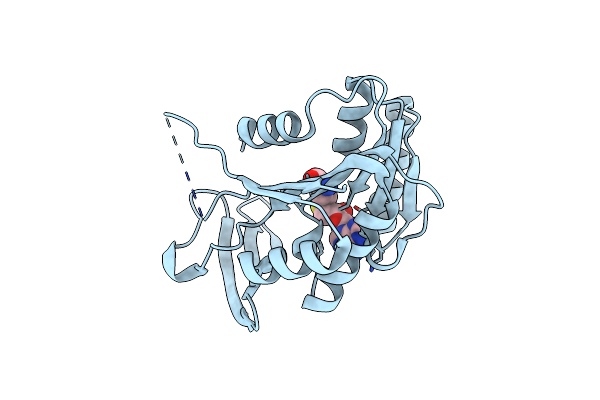 8RDL image