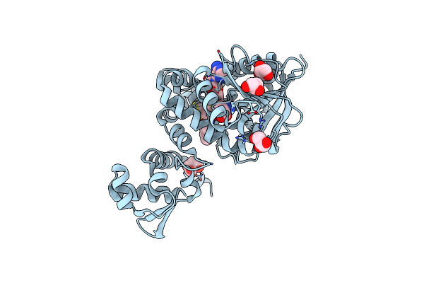 8RDO image