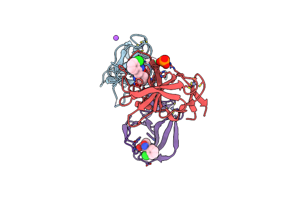 8RDP image