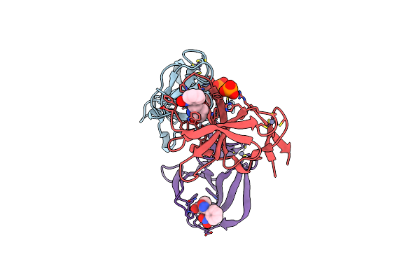 8RDR image