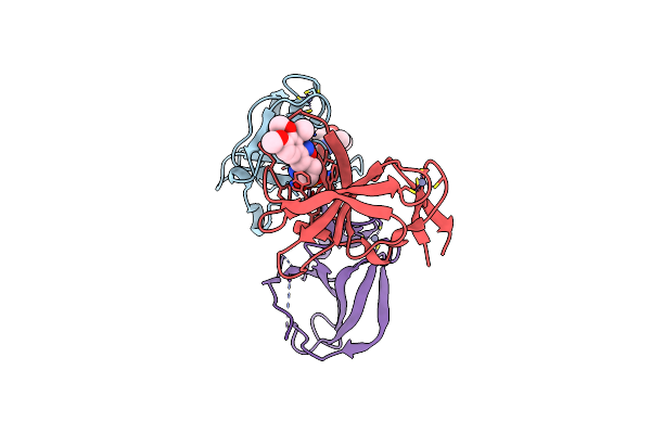 8RDT image