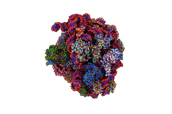 8RDW image
