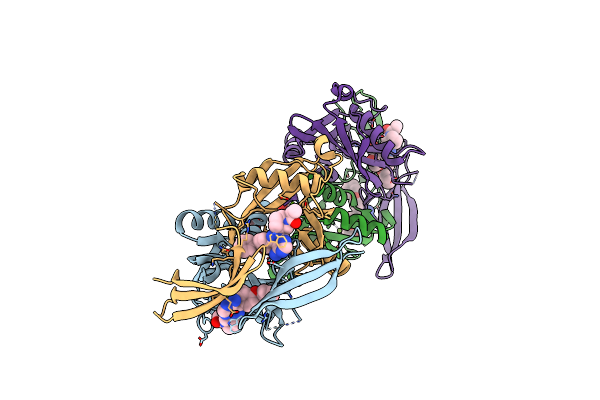 8RDZ image