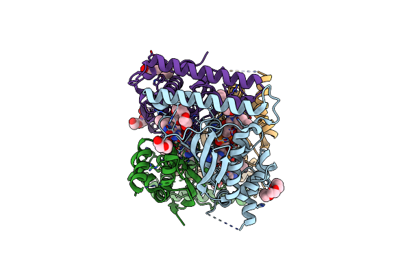 8REP image