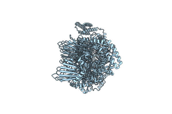 8RF9 image