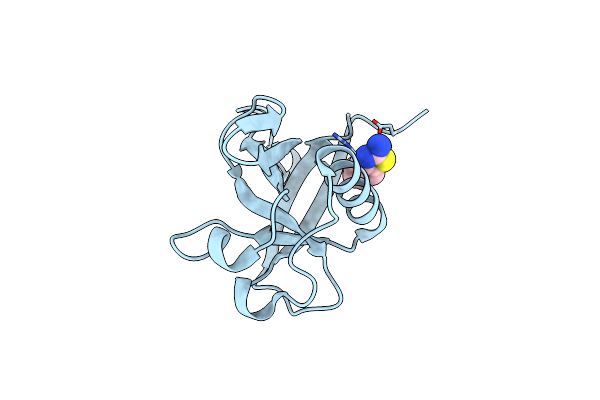 8RFF image