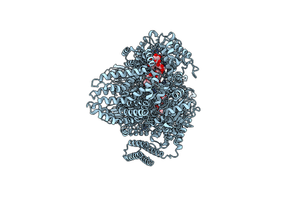 8RFG image